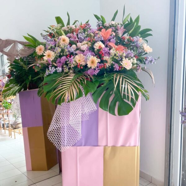 Opening Stand | Opening Stand 40