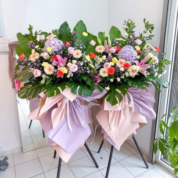 Opening Stand | Opening Stand 60