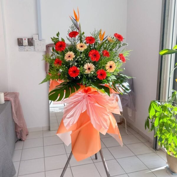 Opening Stand | Opening Stand 72 (Pre-Order)