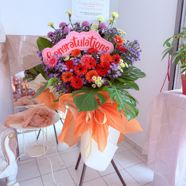 Opening Stand | Opening Stand 76